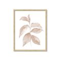 Picture of Neutral Watercolour Botanical II _GroupedProduct_Rectangle_Portrait_Framed_Matted_