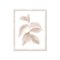 Picture of Neutral Watercolour Botanical II _GroupedProduct_Rectangle_Portrait_Framed_Matted_