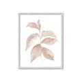 Picture of Neutral Watercolour Botanical II _GroupedProduct_Rectangle_Portrait_Framed_Matted_