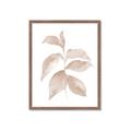 Picture of Neutral Watercolour Botanical II _GroupedProduct_Rectangle_Portrait_Framed_Matted_