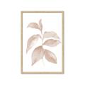 Picture of Neutral Watercolour Botanical II _GroupedProduct_Rectangle_Portrait_Framed_Matted_