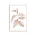 Picture of Neutral Watercolour Botanical II _GroupedProduct_Rectangle_Portrait_Framed_Matted_