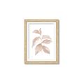 Picture of Neutral Watercolour Botanical II _GroupedProduct_Rectangle_Portrait_Framed_Matted_