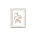 Picture of Neutral Watercolour Botanical II _GroupedProduct_Rectangle_Portrait_Framed_Matted_