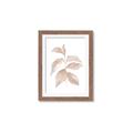 Picture of Neutral Watercolour Botanical II _GroupedProduct_Rectangle_Portrait_Framed_Matted_