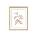 Picture of Neutral Watercolour Botanical II _GroupedProduct_Rectangle_Portrait_Framed_Matted_