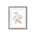 Picture of Neutral Watercolour Botanical II _GroupedProduct_Rectangle_Portrait_Framed_Matted_