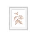 Picture of Neutral Watercolour Botanical II _GroupedProduct_Rectangle_Portrait_Framed_Matted_