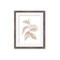 Picture of Neutral Watercolour Botanical II _GroupedProduct_Rectangle_Portrait_Framed_Matted_