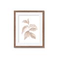 Picture of Neutral Watercolour Botanical II _GroupedProduct_Rectangle_Portrait_Framed_Matted_