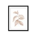 Picture of Neutral Watercolour Botanical II _GroupedProduct_Rectangle_Portrait_Framed_Matted_