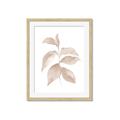 Picture of Neutral Watercolour Botanical II _GroupedProduct_Rectangle_Portrait_Framed_Matted_