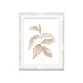 Picture of Neutral Watercolour Botanical II _GroupedProduct_Rectangle_Portrait_Framed_Matted_