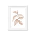 Picture of Neutral Watercolour Botanical II _GroupedProduct_Rectangle_Portrait_Framed_Matted_