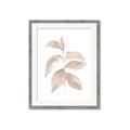 Picture of Neutral Watercolour Botanical II _GroupedProduct_Rectangle_Portrait_Framed_Matted_