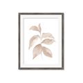 Picture of Neutral Watercolour Botanical II _GroupedProduct_Rectangle_Portrait_Framed_Matted_