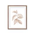 Picture of Neutral Watercolour Botanical II _GroupedProduct_Rectangle_Portrait_Framed_Matted_