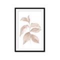 Picture of Neutral Watercolour Botanical II _GroupedProduct_Rectangle_Portrait_Framed_Matted_
