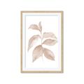 Picture of Neutral Watercolour Botanical II _GroupedProduct_Rectangle_Portrait_Framed_Matted_