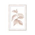 Picture of Neutral Watercolour Botanical II _GroupedProduct_Rectangle_Portrait_Framed_Matted_