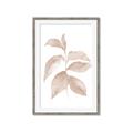 Picture of Neutral Watercolour Botanical II _GroupedProduct_Rectangle_Portrait_Framed_Matted_