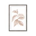 Picture of Neutral Watercolour Botanical II _GroupedProduct_Rectangle_Portrait_Framed_Matted_