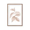 Picture of Neutral Watercolour Botanical II _GroupedProduct_Rectangle_Portrait_Framed_Matted_