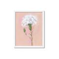 Picture of Single White Flower _GroupedProduct_Rectangle_Portrait_Framed_Matted_