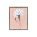 Picture of Single White Flower _GroupedProduct_Rectangle_Portrait_Framed_Matted_