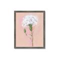 Picture of Single White Flower _GroupedProduct_Rectangle_Portrait_Framed_Matted_