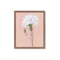 Picture of Single White Flower _GroupedProduct_Rectangle_Portrait_Framed_Matted_