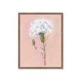 Picture of Single White Flower _GroupedProduct_Rectangle_Portrait_Framed_Matted_