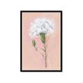 Picture of Single White Flower _GroupedProduct_Rectangle_Portrait_Framed_Matted_