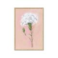 Picture of Single White Flower _GroupedProduct_Rectangle_Portrait_Framed_Matted_