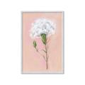 Picture of Single White Flower _GroupedProduct_Rectangle_Portrait_Framed_Matted_