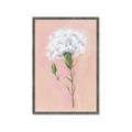 Picture of Single White Flower _GroupedProduct_Rectangle_Portrait_Framed_Matted_