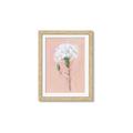 Picture of Single White Flower _GroupedProduct_Rectangle_Portrait_Framed_Matted_