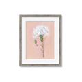 Picture of Single White Flower _GroupedProduct_Rectangle_Portrait_Framed_Matted_