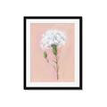 Picture of Single White Flower _GroupedProduct_Rectangle_Portrait_Framed_Matted_