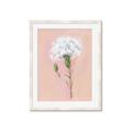 Picture of Single White Flower _GroupedProduct_Rectangle_Portrait_Framed_Matted_