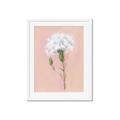 Picture of Single White Flower _GroupedProduct_Rectangle_Portrait_Framed_Matted_