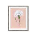 Picture of Single White Flower _GroupedProduct_Rectangle_Portrait_Framed_Matted_
