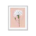 Picture of Single White Flower _GroupedProduct_Rectangle_Portrait_Framed_Matted_
