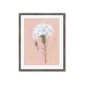 Picture of Single White Flower _GroupedProduct_Rectangle_Portrait_Framed_Matted_