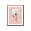 Picture of Single White Flower _GroupedProduct_Rectangle_Portrait_Framed_Matted_
