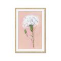 Picture of Single White Flower _GroupedProduct_Rectangle_Portrait_Framed_Matted_