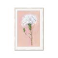 Picture of Single White Flower _GroupedProduct_Rectangle_Portrait_Framed_Matted_