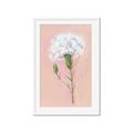 Picture of Single White Flower _GroupedProduct_Rectangle_Portrait_Framed_Matted_