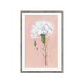 Picture of Single White Flower _GroupedProduct_Rectangle_Portrait_Framed_Matted_