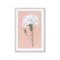 Picture of Single White Flower _GroupedProduct_Rectangle_Portrait_Framed_Matted_